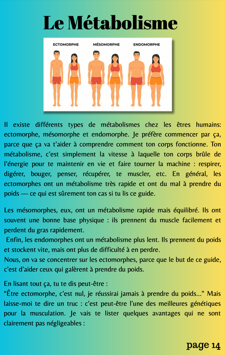 GUIDE PRISE DE MASSE : La méthode pour les Ectomorphes et débutant